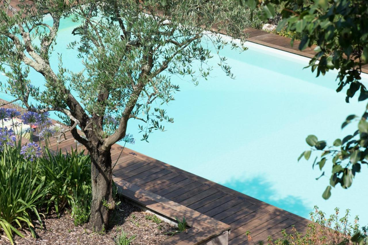 Chateau Du Tasta Bed & Breakfast